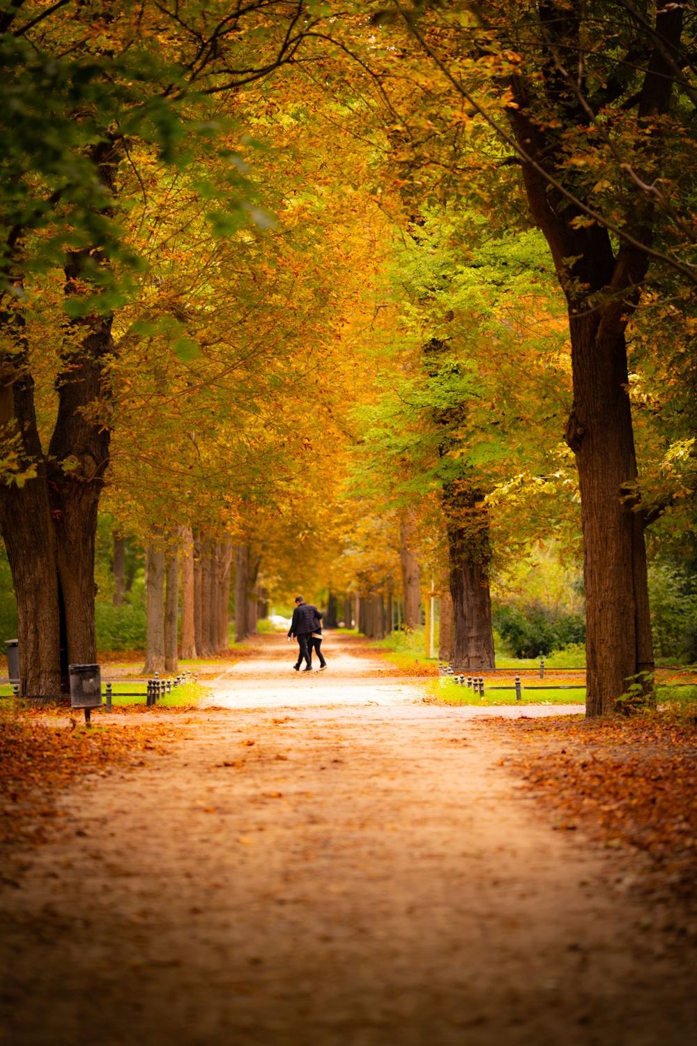 Approaching Retirement